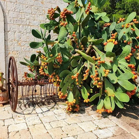 Masseria Agrituristica San Giorgio *